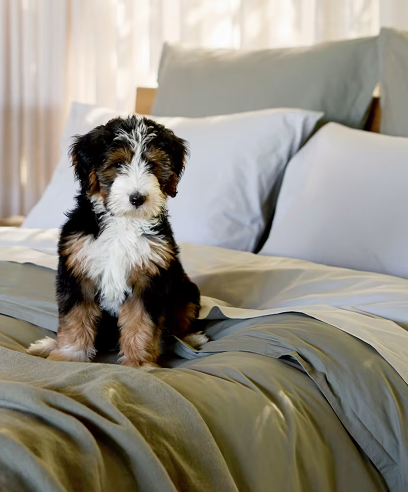 Bedding